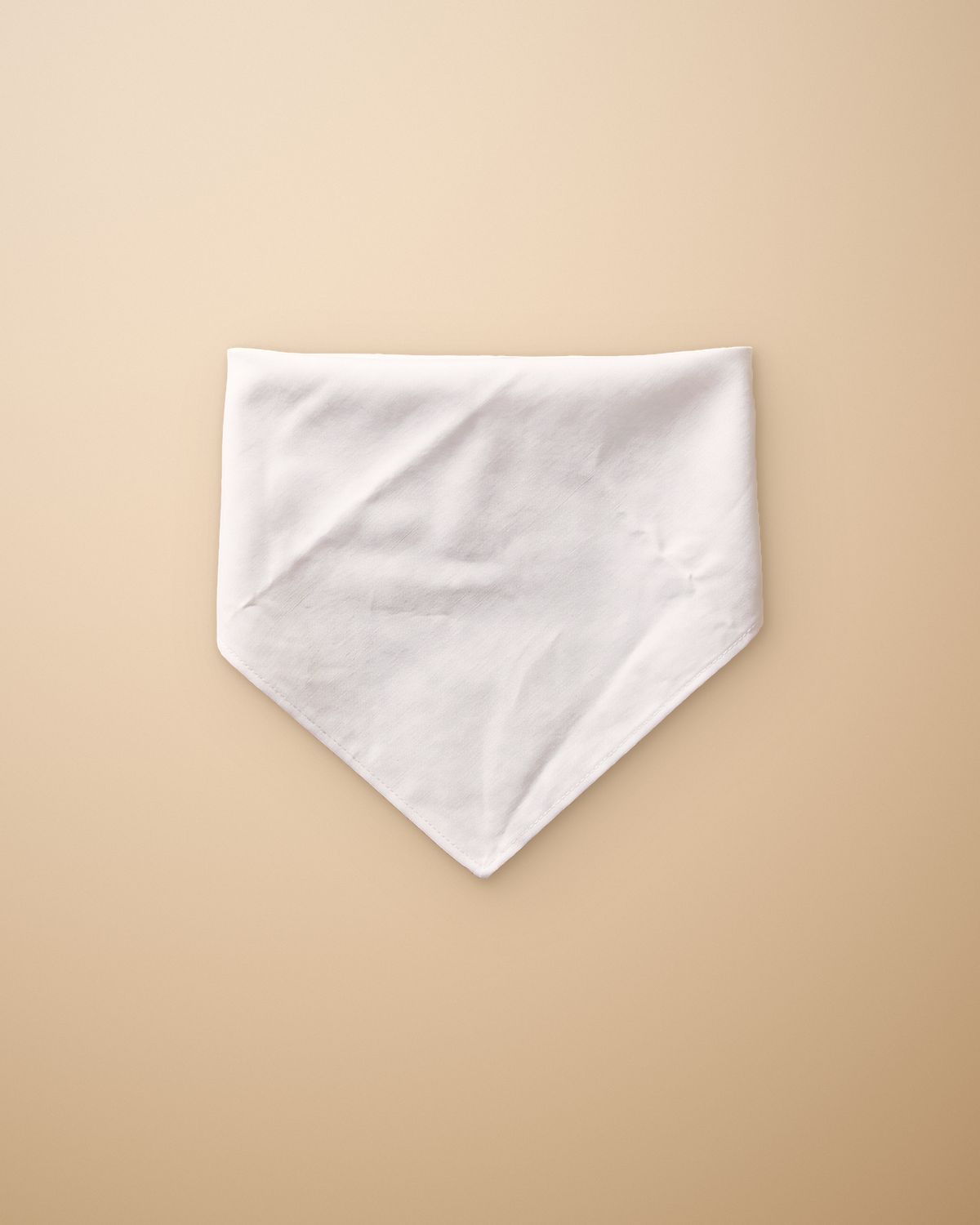 The Doggie Bandana — white, embroidered to order